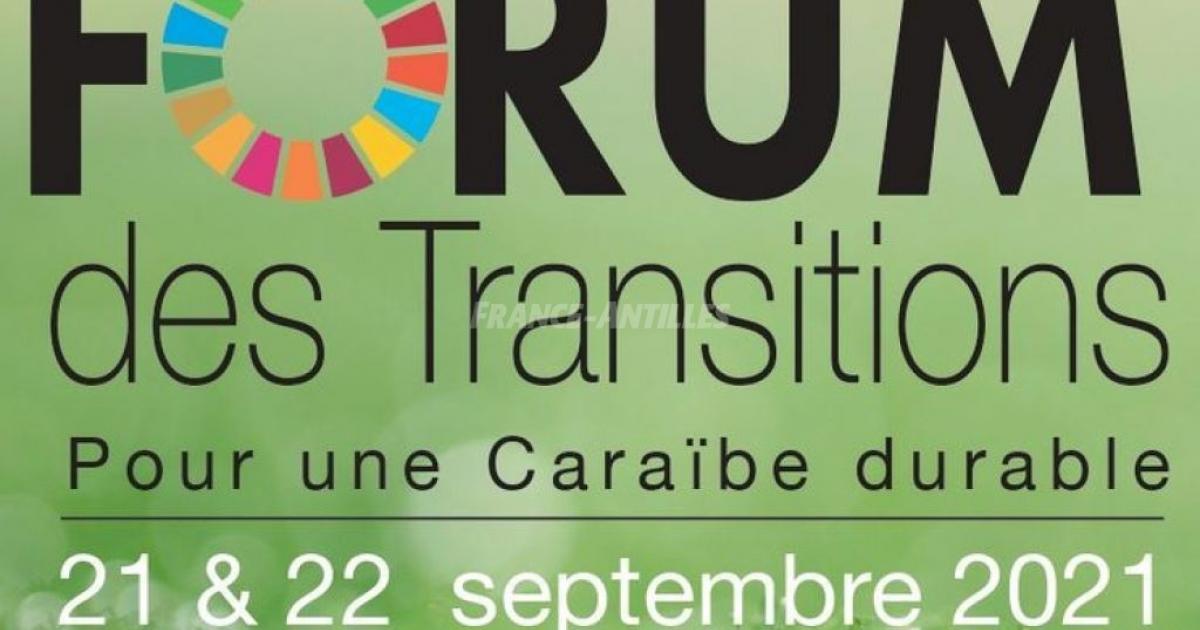     





Forum des Transitions pour une Caraïbe durable




