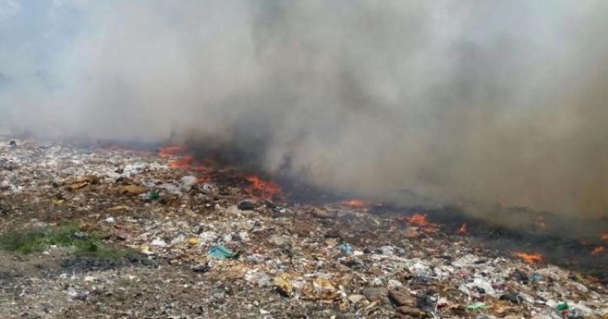 Atteintes à l'environnement : le SMTVD conclut un accord avec la justice