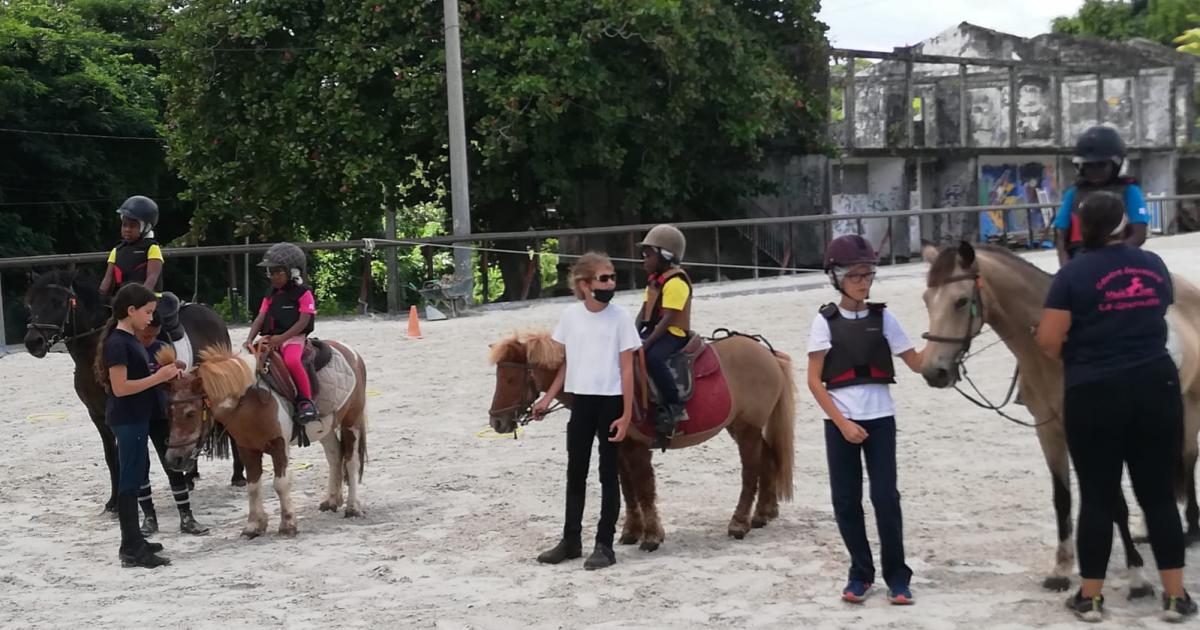 Octobre Rose : les enfants souffrant du cancer mis à l'honneur par le Rotary Club de Schoelcher