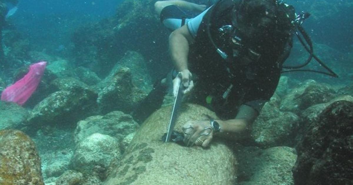 Opération de déminage d'une ancienne munition au large des Saintes