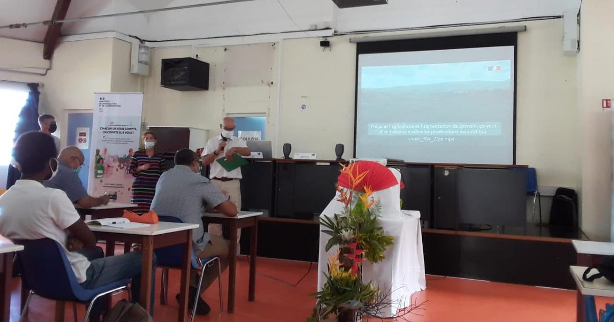 Le nombre d'exploitations agricoles a diminué de 20% en 10 ans en Martinique