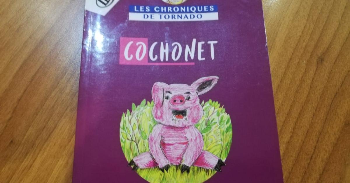 Idée cadeau : un petit livre pour les enfants autour des traditions de Noël aux Antilles