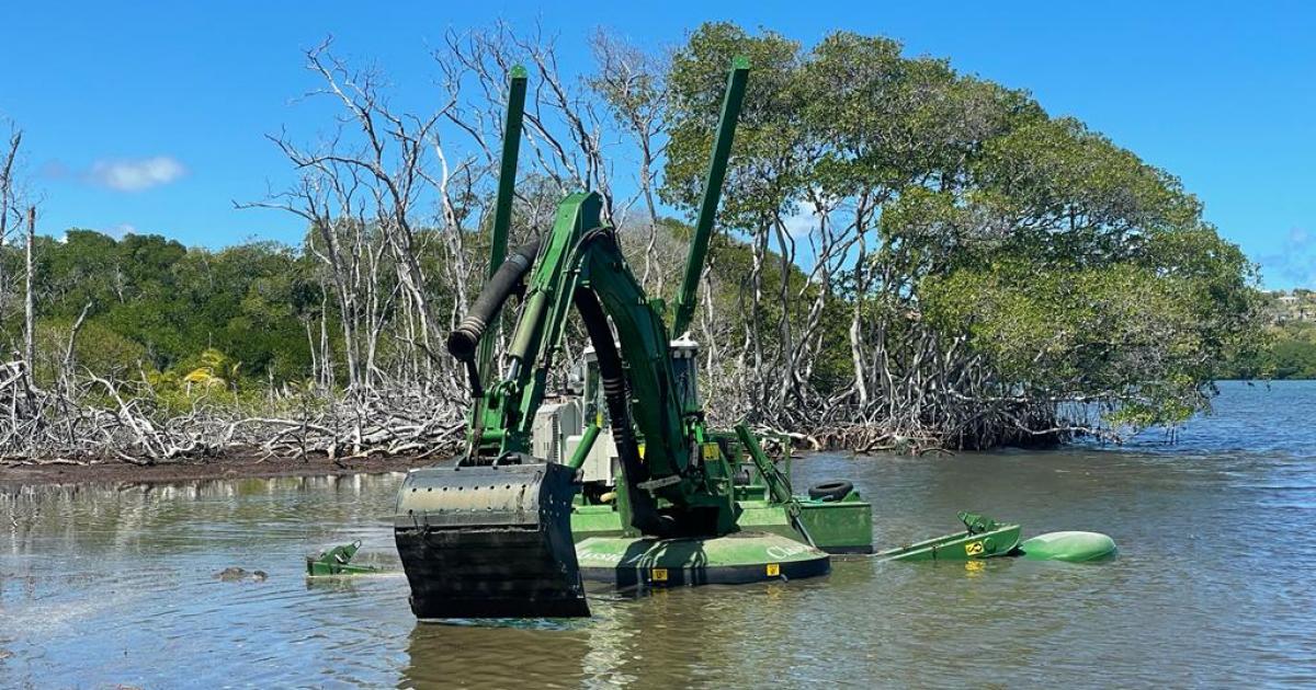 Algues sargasses : une solution pour nettoyer le littoral