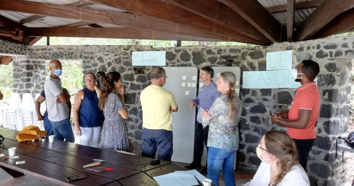 Forêt Vatable : un forum citoyen pour penser l'évolution du territoire