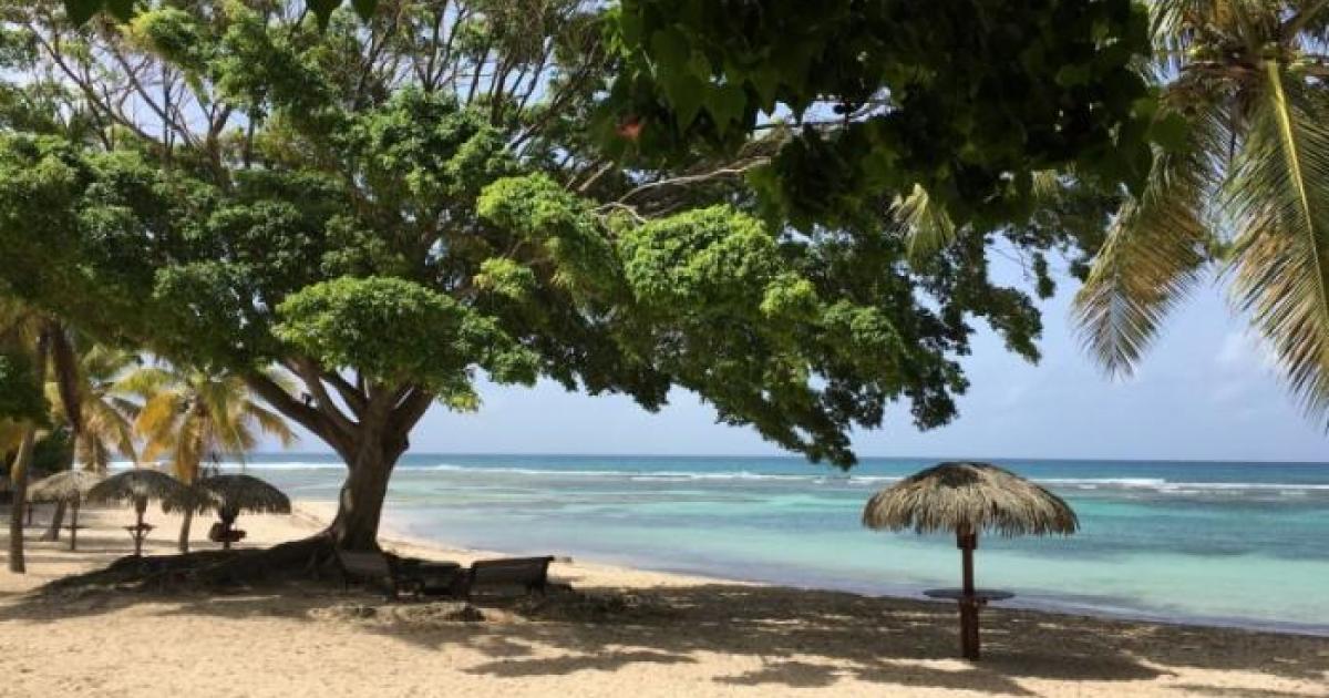     





Baignade : la nécessaire sécurisation des plages




