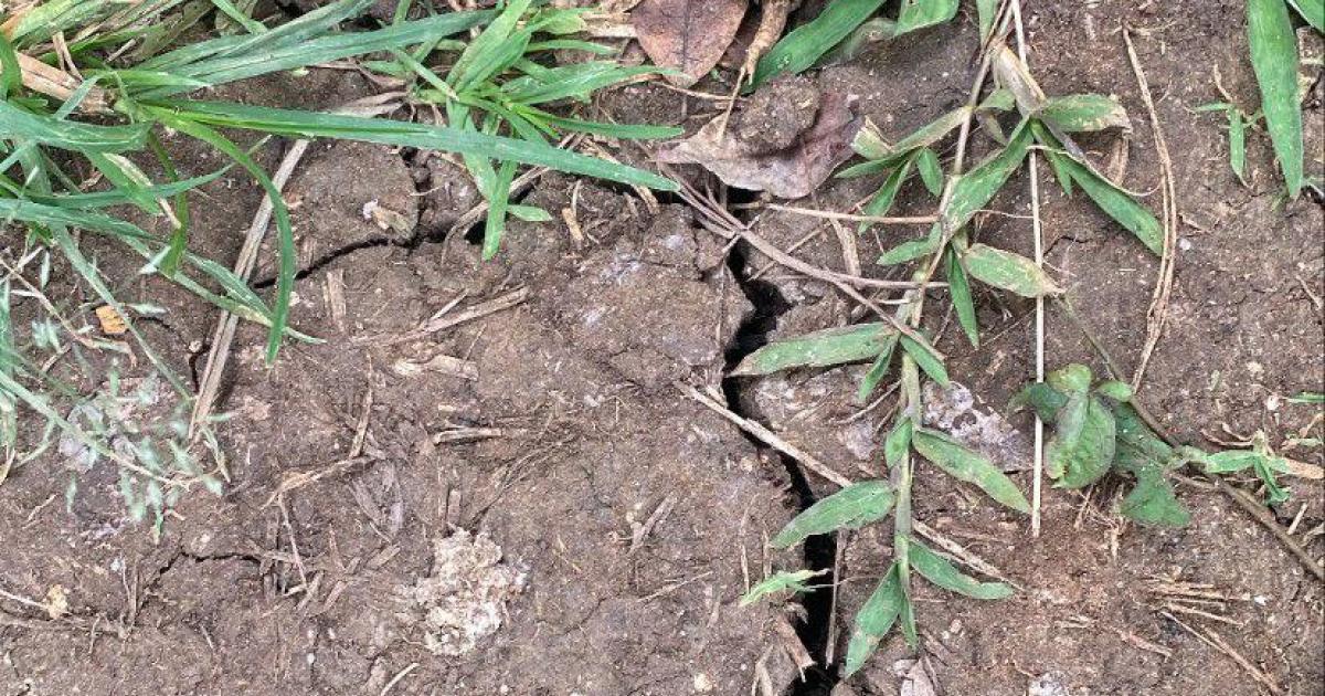 Alimentation en eau : Les agriculteurs redoutent l'arrivée du Carême