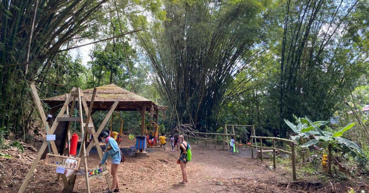 Ecolieu de Tivoli : Un nouveau parcours sensoriel pour se reconnecter à la nature