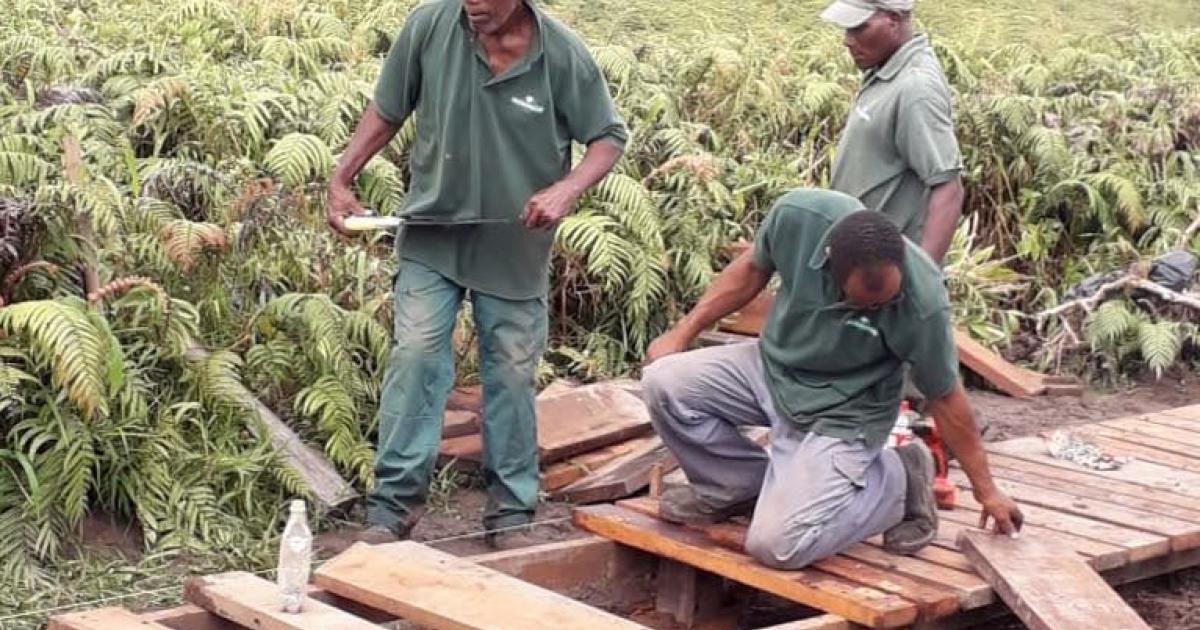 Grève à l'Office National des Forêts en Martinique