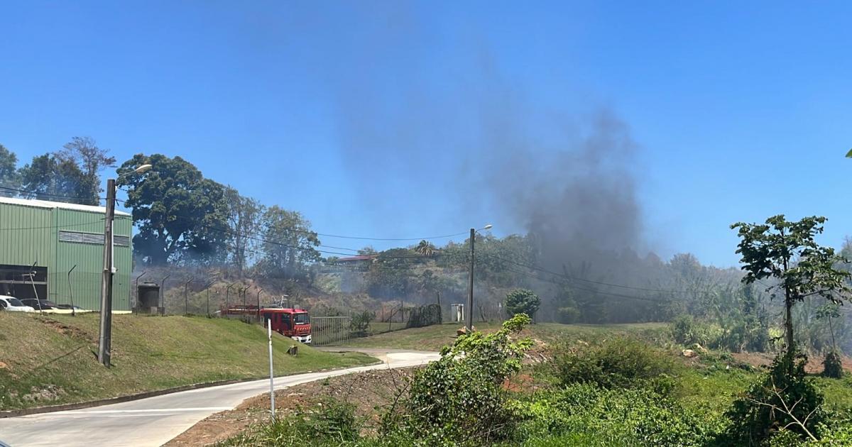 Un feu de broussaille menace un abattoir au François