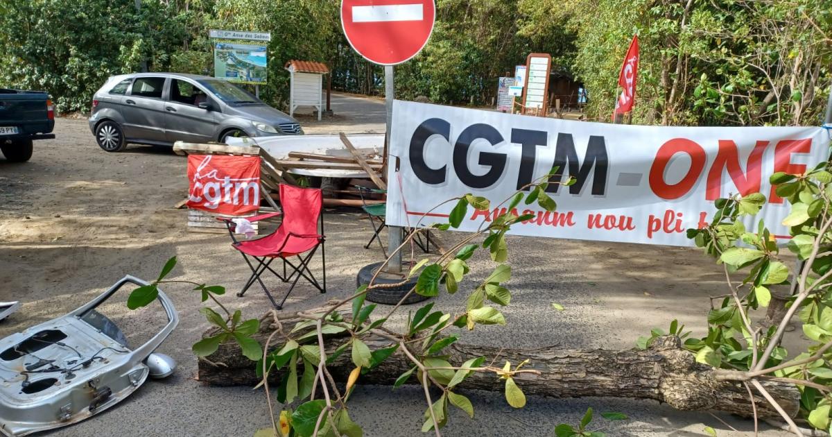 Colère des ouvriers forestiers de l'ONF : le mouvement se durcit