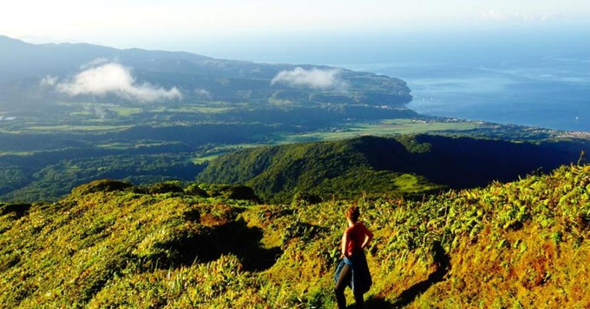 Salon Mondial du Tourisme : l'attrait des destinations Nature