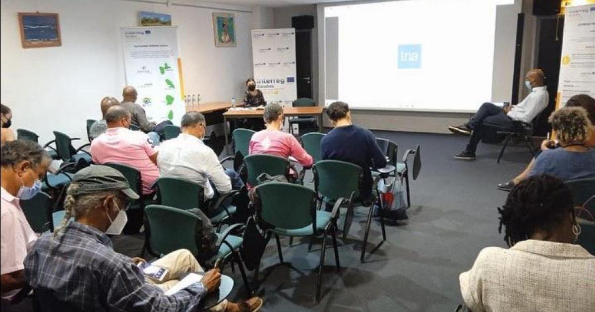    





Des discussions pour la création d'une cinémathèque numérique de la Caraïbe




