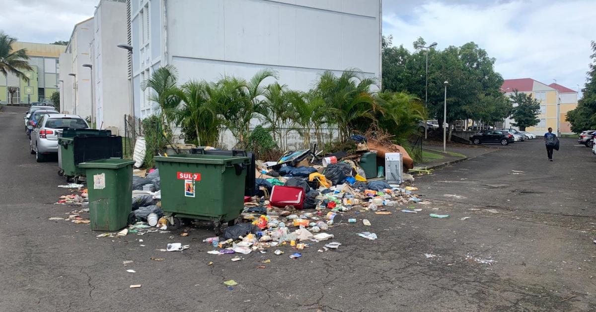 Des résidents du Lamentin envahis par des détritus