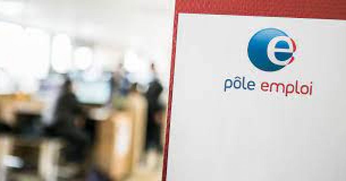 « Nous avons 1000 offres d’emploi disponibles en Martinique »