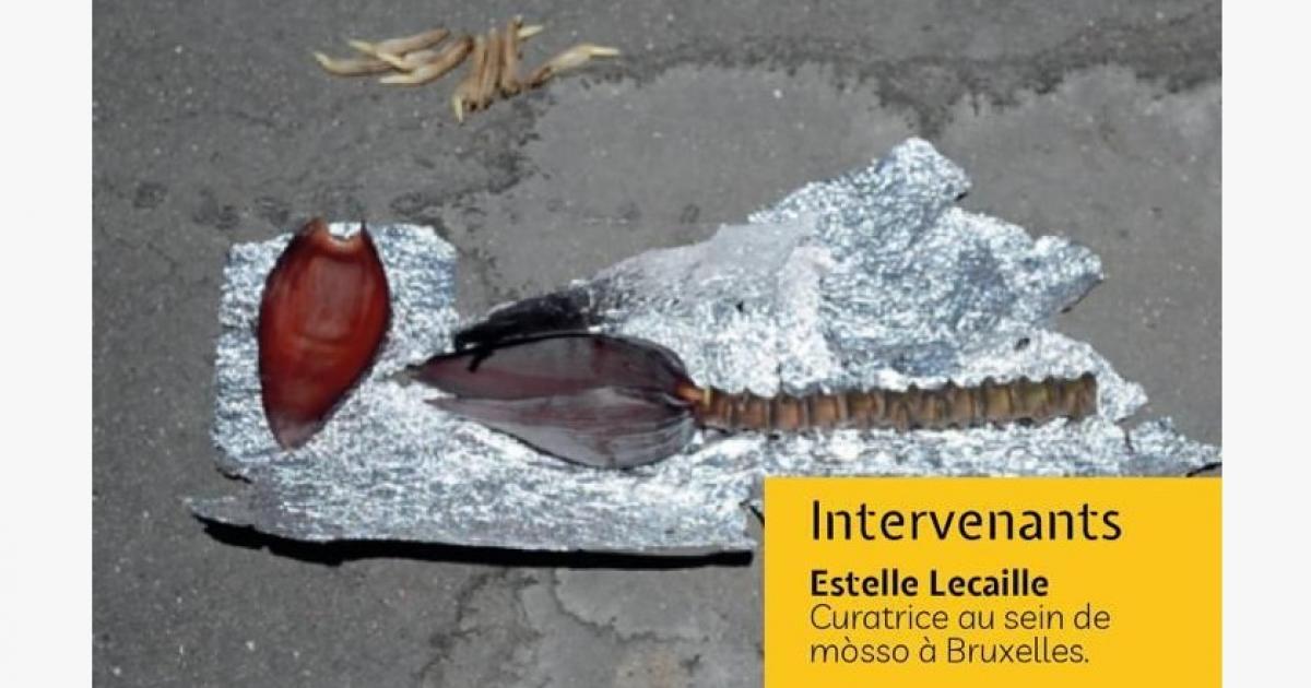     





Sika : un nouveau regard sur le monde




