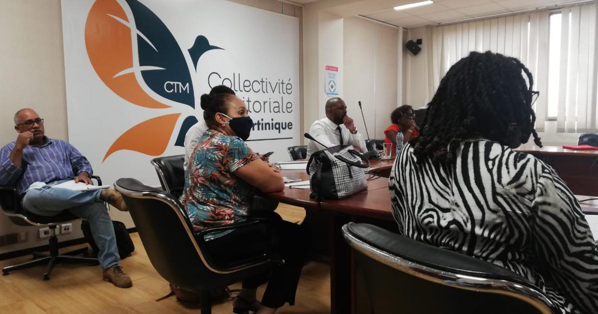 Bientôt une chambre professionnelle du conseil en Martinique ?