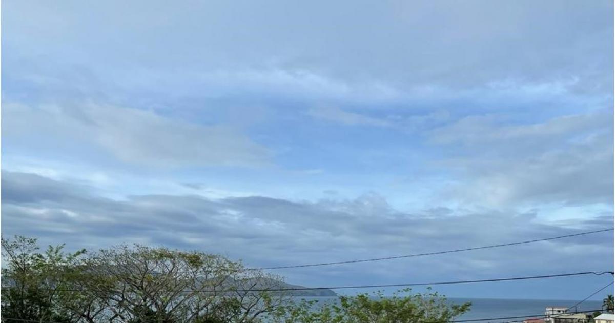     





Retour au vert en Martinique




