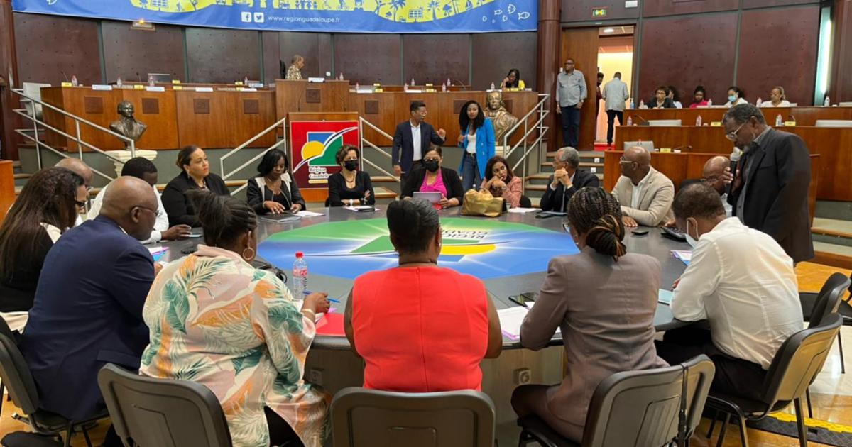 Installation de 10 commissions mixtes Région-Département