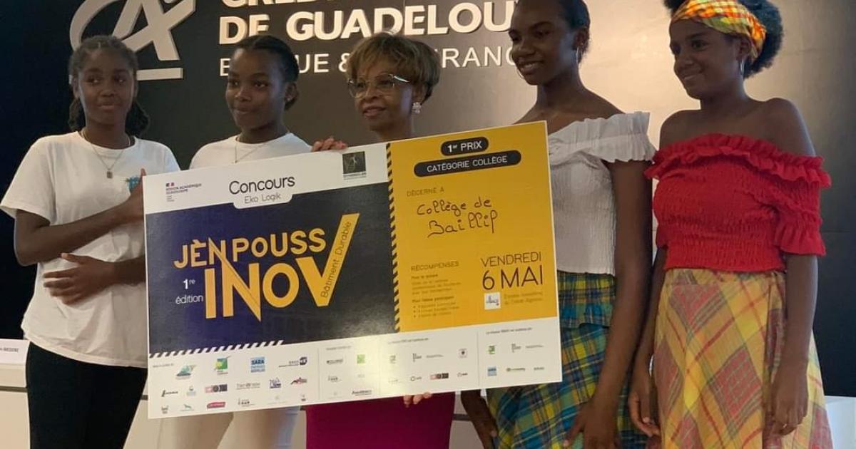 Les collégiens de Jean Jaurès de Baillif, rois du développement durable
