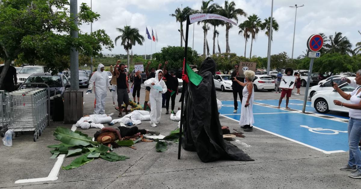 Mobilisation contre le groupe Monsanto Bayer