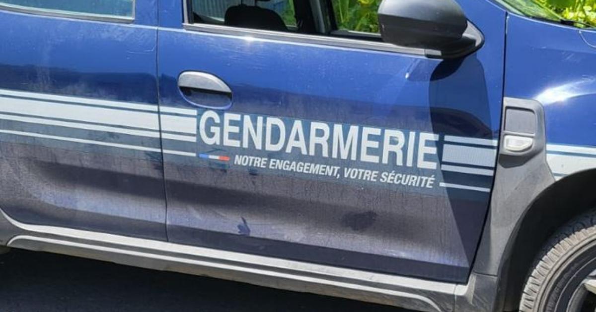     





Un individu interpellé après avoir fait usage d’une arme à feu au Marin





