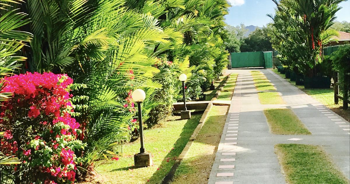3 sites martiniquais labellisés "Jardin remarquable"
