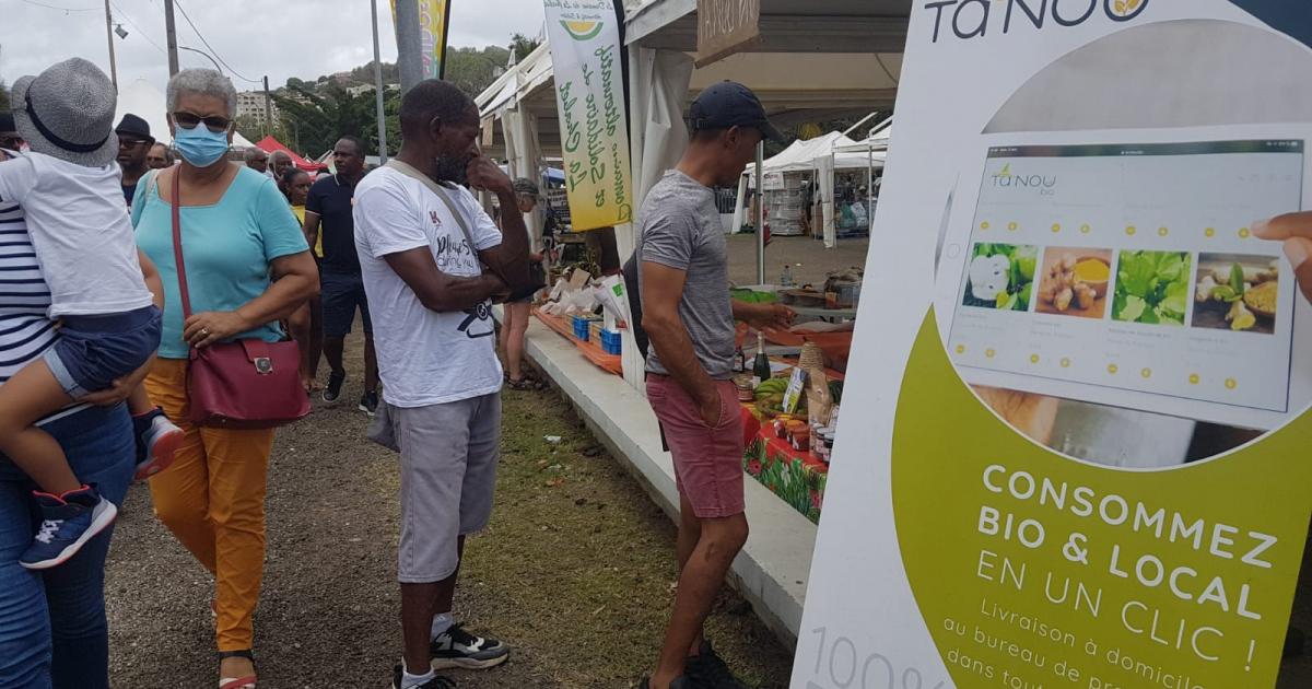 Grand retour de la Foire agricole et artisanale de Rivière-Pilote ce week-end