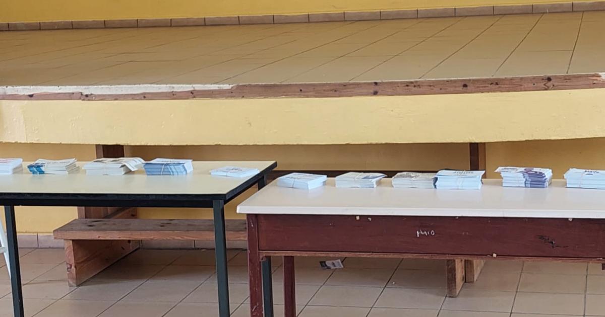 Législatives : le taux de participation à 17 heures est estimé à 21,55 %