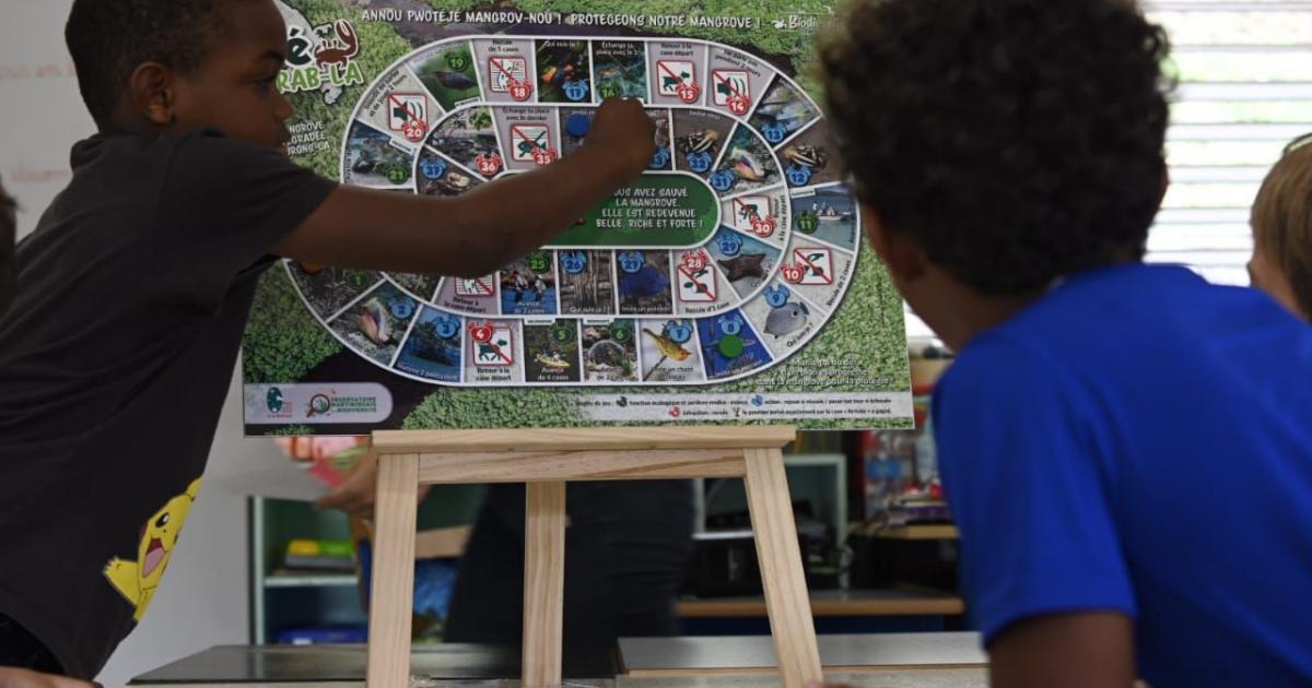     





Une mallette de jeux pédagogiques sur la biodiversité martiniquaise




