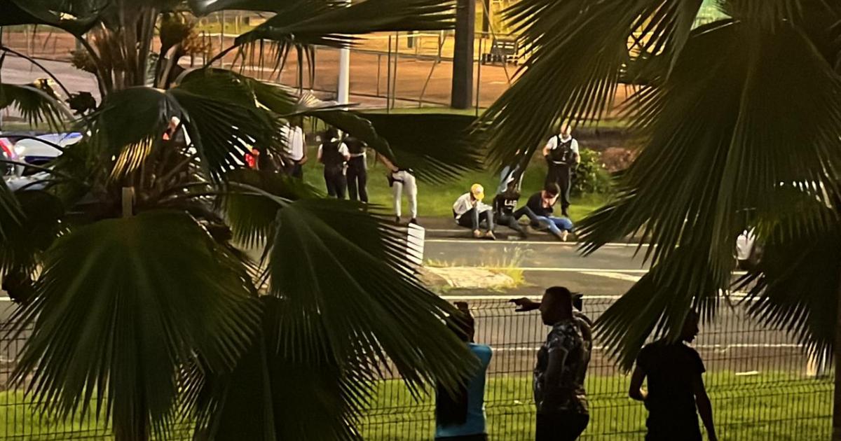 Quatre ans de prison ferme pour avoir percuté un policier à Ducos