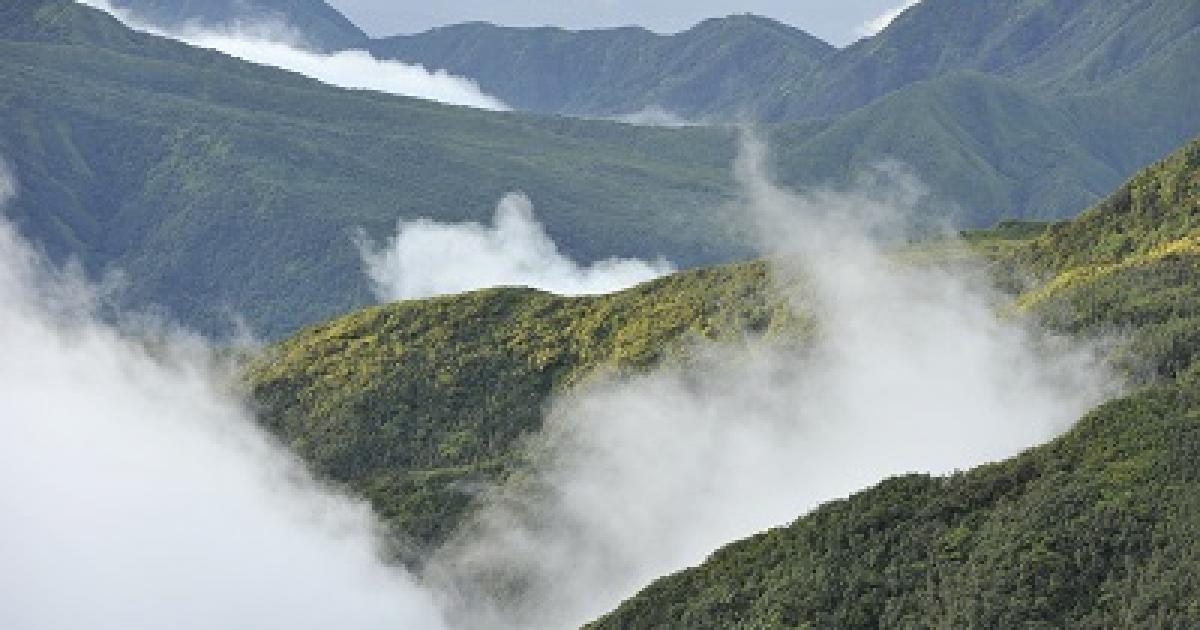 Les guides se mobilisent pour sensibiliser à la protection de notre environnement