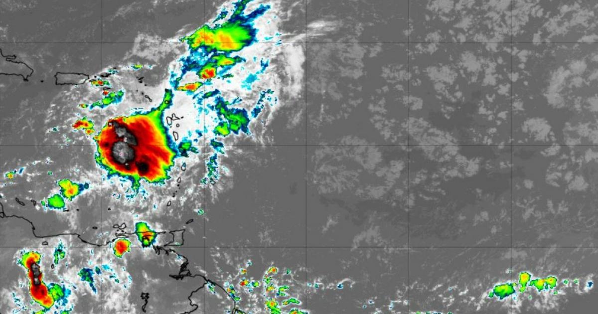     





Quel temps fera-t-il en Martinique ce samedi ?




