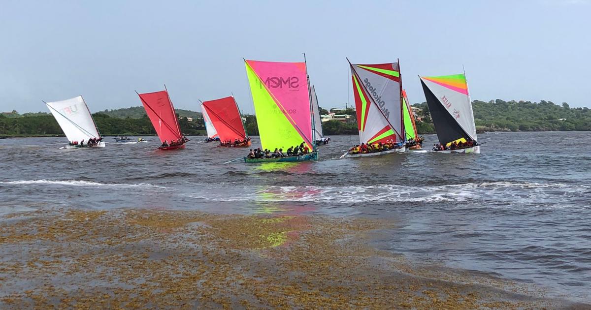     





[⭕️DIRECT⛵️] Tour des yoles 2022 : suivez la deuxième étape Robert-Trinité




