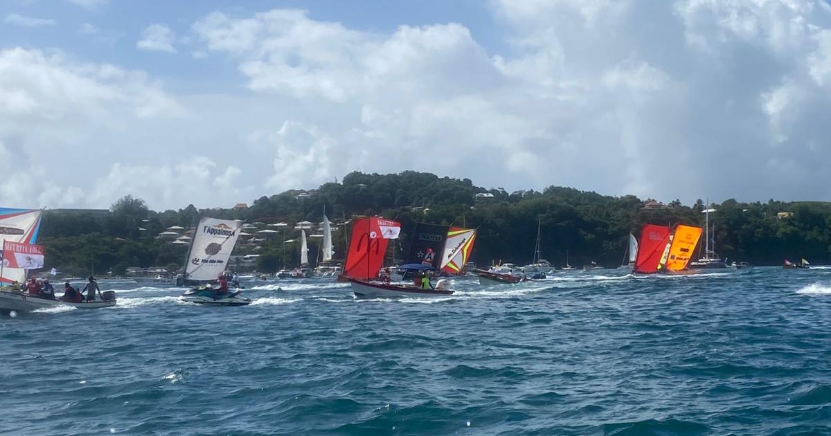    





[⭕️DIRECT⛵️] Tour des yoles 2022 : suivez la quatrième étape Saint-Pierre - Fort-de-France




