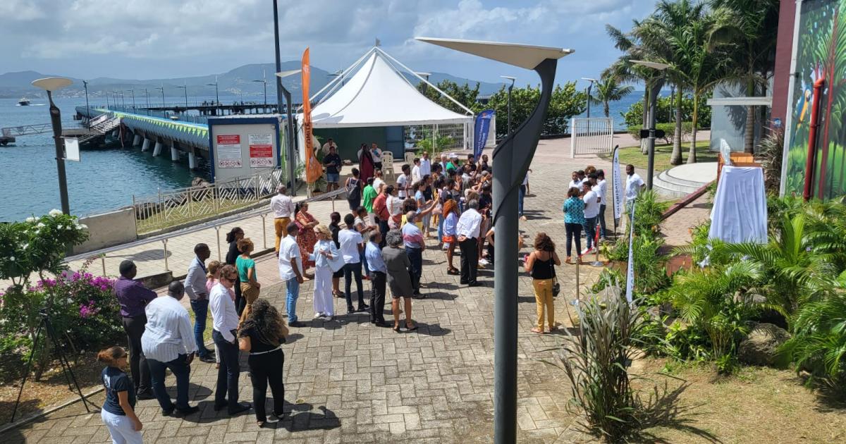    





Les bateaux de croisière sont de retour en Martinique




