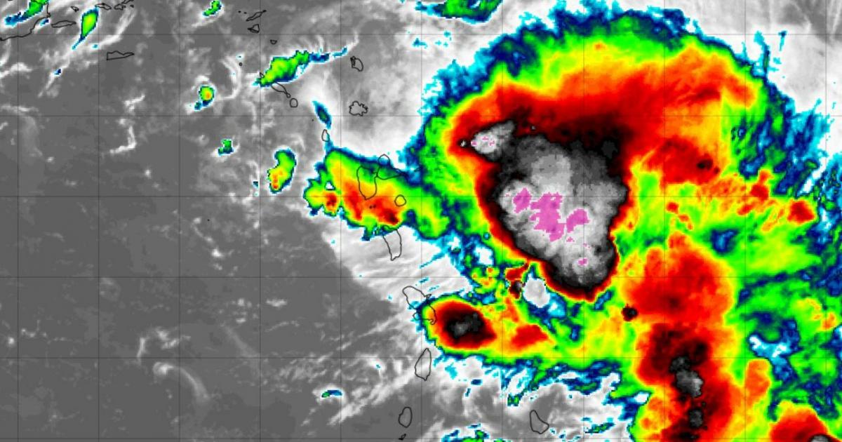     





Vigilance rouge : le centre de Fiona est sur la Guadeloupe




