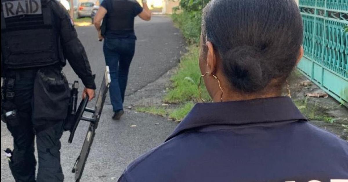 Tirs à Pointe-à-Pitre : plusieurs suspects interpellés