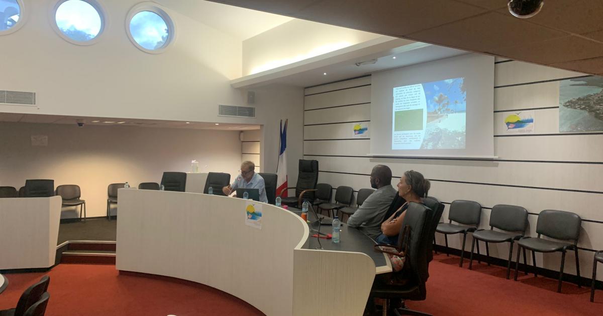La ville de Sainte-Anne et l'ONF s'associent pour lutter contre l'érosion
