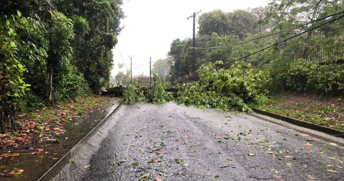     





La vigilance rouge est toujours en vigueur en Guadeloupe ce samedi à midi




