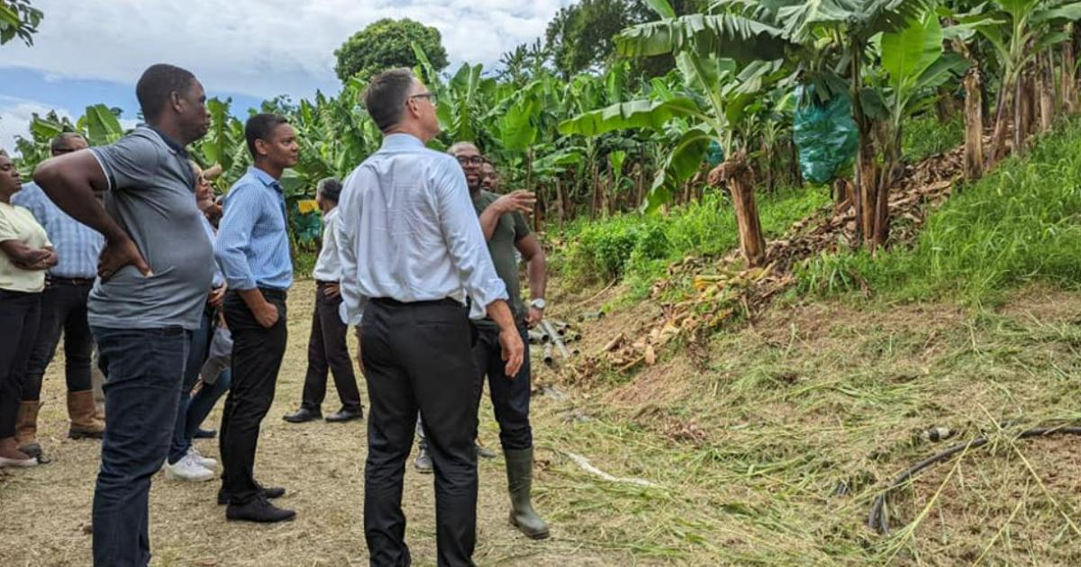     





Le préfet consacre sa première visite de terrain à l'agriculture




