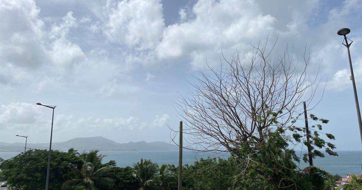 Brume de sable : la Martinique est en procédure d'alerte