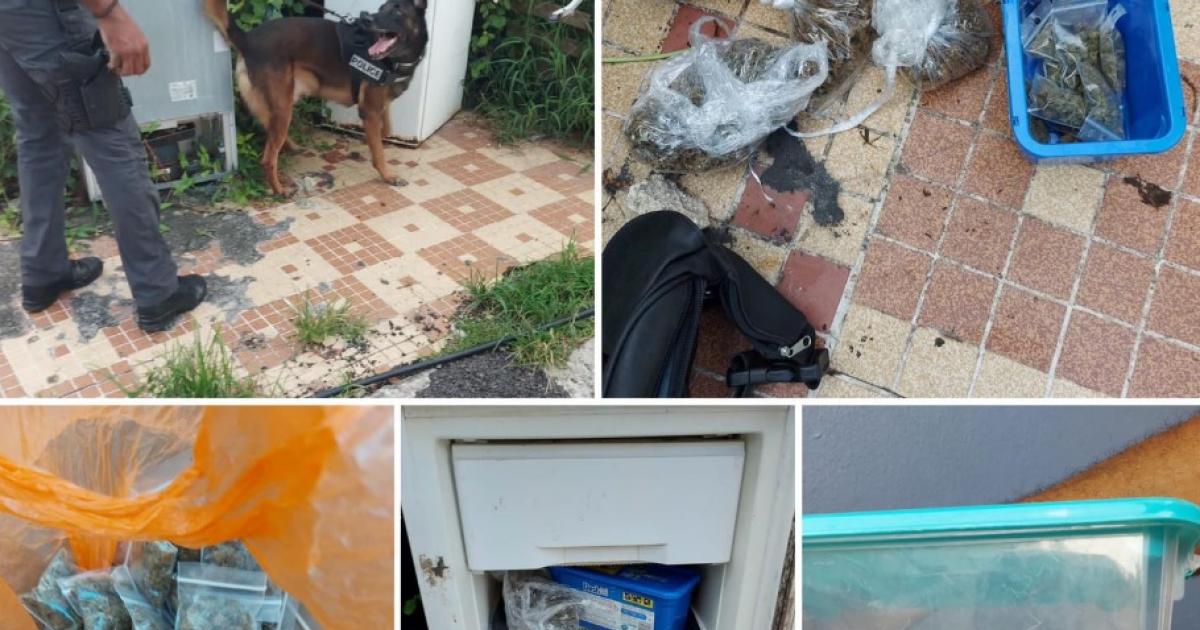Opération anti-drogue à la Cour Zamia