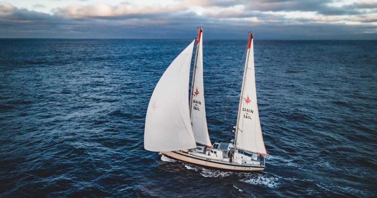 Un transport cargo à la voile fera désormais escale en Guadeloupe
