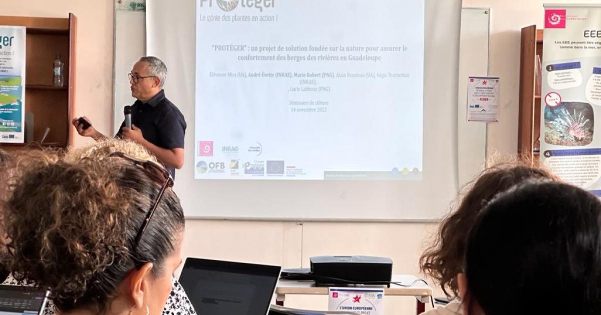 Des végétaux pour lutter contre les inondations