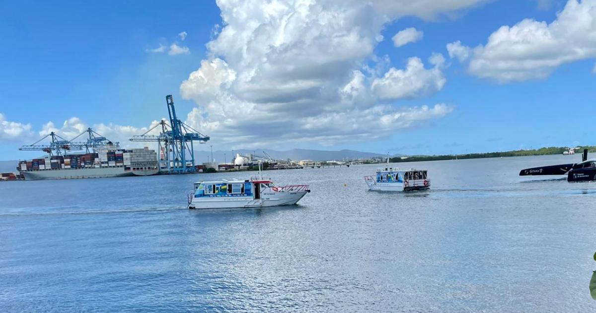 Route du Rhum : le Bus des mers rencontre un franc succès
