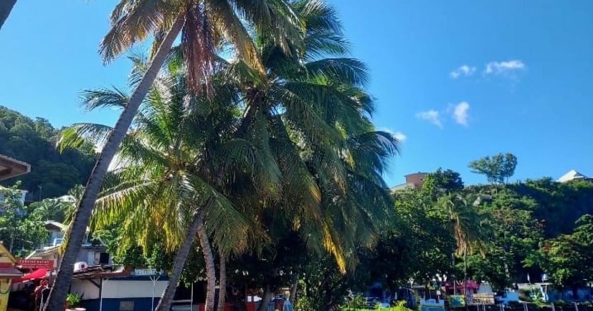 Incendie sur la Plage de Malendure