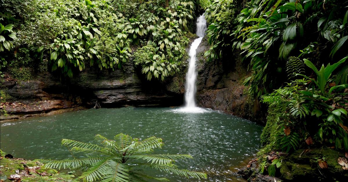 Un randonneur porté disparu à la cascade Tambour