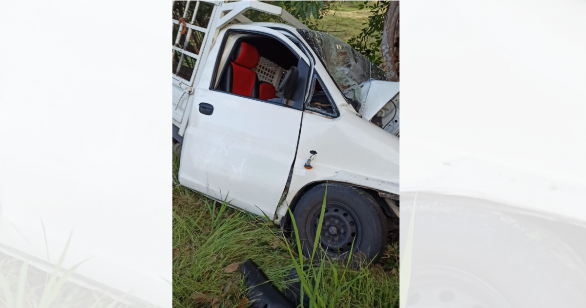 Un véhicule s’encastre dans un arbre et aurait fait un blessé grave