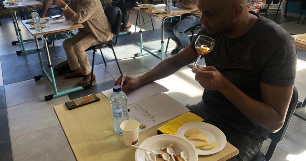 Quel sera le meilleur miel de Guadeloupe 2022 ?