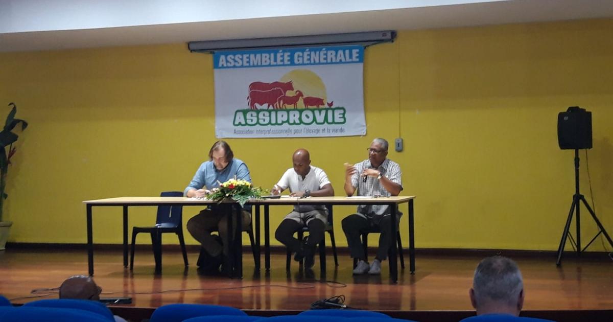 L’ASSIPROVIE veut relancer la filière de l’élevage et de la viande en Guadeloupe